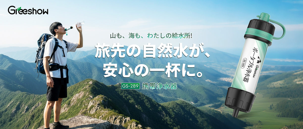 GS-289 电脑版海报