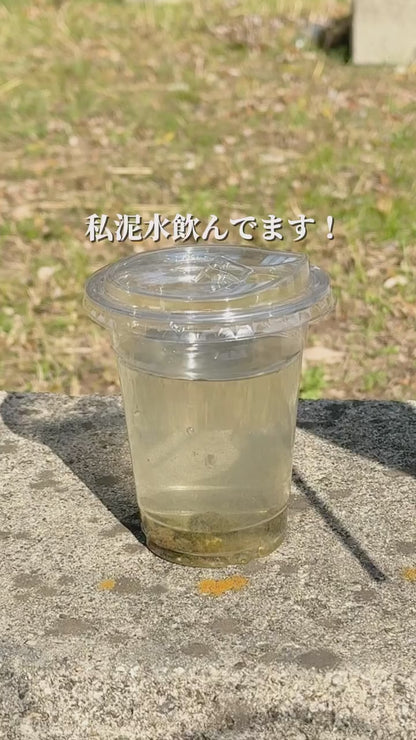 【業界最新&手動ボンプ付き】Greeshow 携帯浄水器 アウトドア 浄水器 電動浄水器 日本正規品 ソーラー充電可能 濾過器 飲み水 災害 防災士推奨 サバイバル浄水器 スマホ充電機能 高輝度LEDライト付き SOSモード 緊急停電対策 防災グッズ キャンプ/登山/地震/防災用 軽量・コンパクト PSE認証済み GS-2809